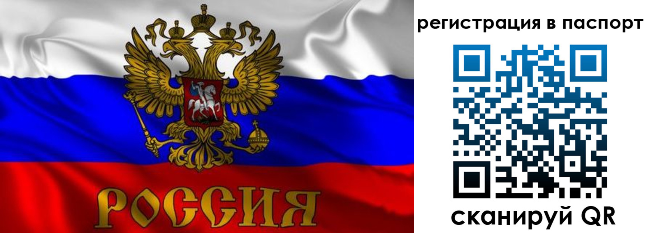 найти адрес прописки в Новосибирске